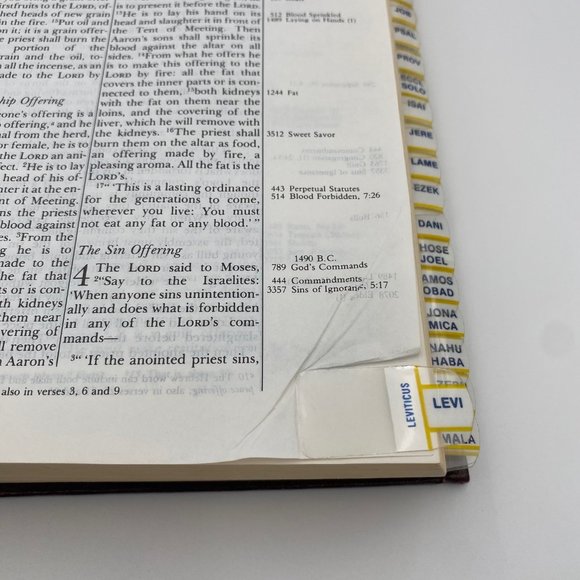 Thompson Chain Reference Bible NIV Frank Charles Thompson 1983 Red Hardcover Tab - Picture 9 of 9